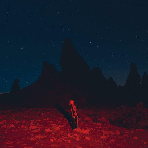 Phoebe Bridgers - Punisher (Vinyl LP)