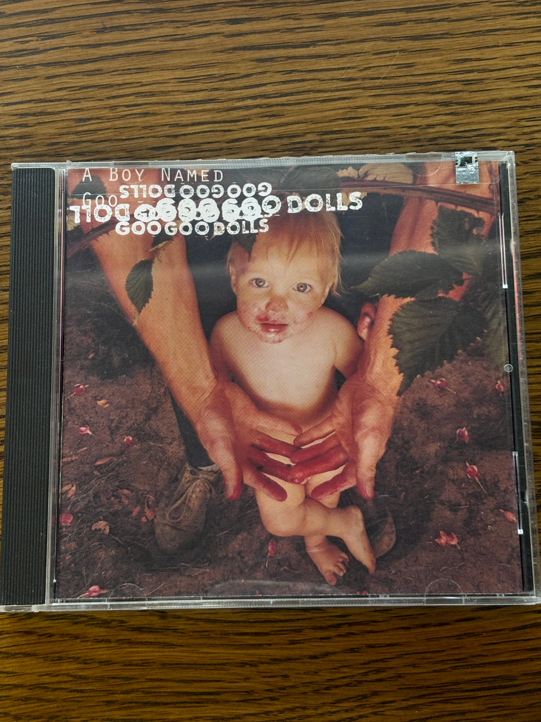 The Goo Goo Dolls - The Boy Named Goo CD
