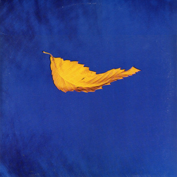 New Order ‎– True Faith / 1963 Vinyl 12