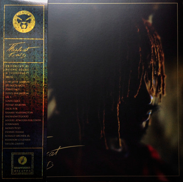 Thundercat – It Is What It Is Vinyl LP