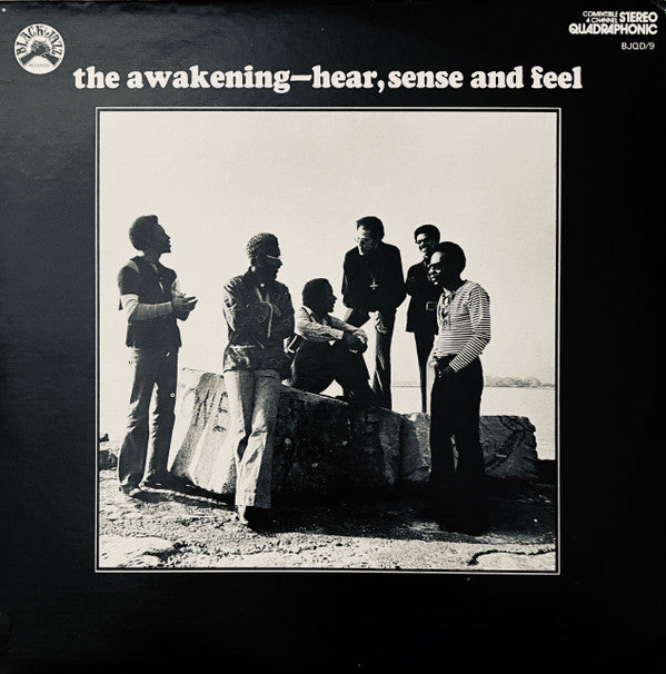 The Awakening ‎– Hear, Sense And Feel Vinyl LP