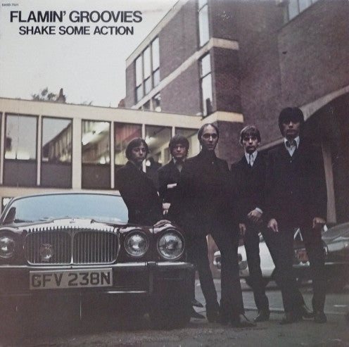 Flamin' Groovies – Shake Some Action Vinyl LP (USED)