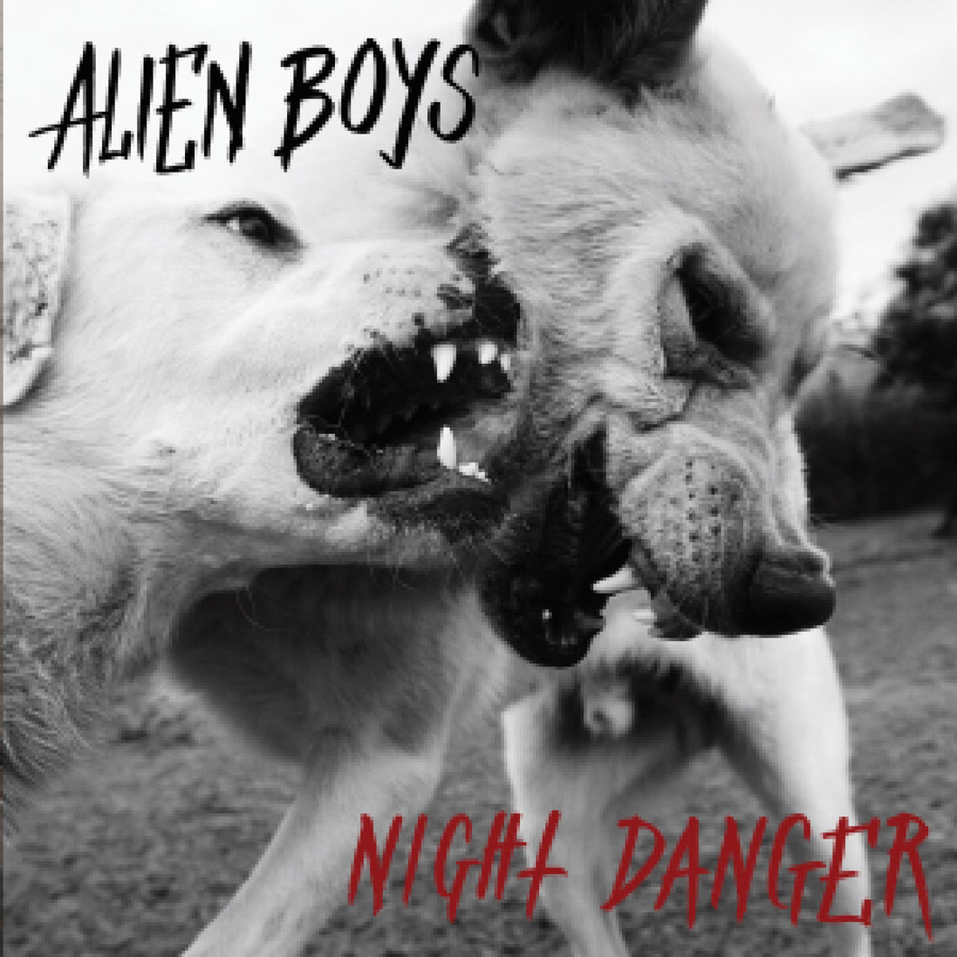 ALIEN BOYS - NIGHT DANGER VINYL LP