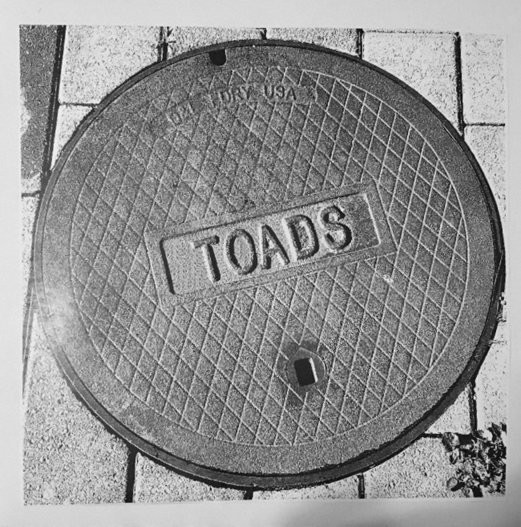 TOADS - S/T VINYL LP
