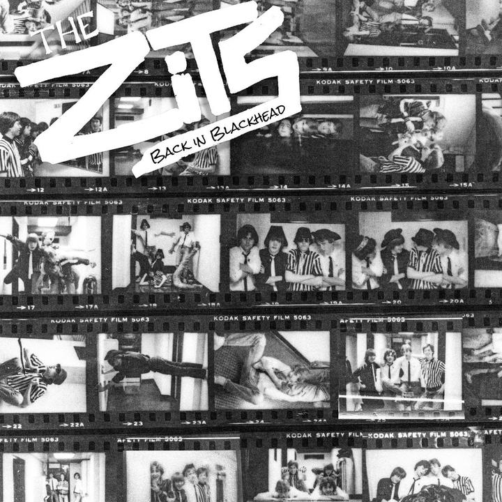 ZITS - BACK IN THE BLACKHEAD VINYL LP