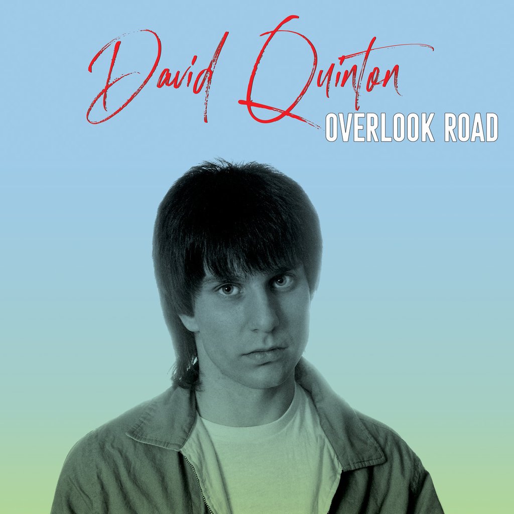 David Quinton ‎- Overlook Road Vinyl LP